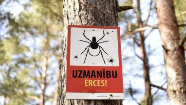 Attēls rakstam: Ērces nesnauž! Kā pareizi rīkoties pēc šo kukaiņu koduma?