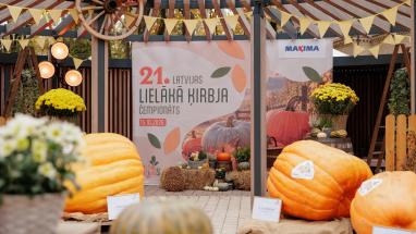 Attēls rakstam: FOTO: Ādažu novada ķirbju milži iekaro Latvijas TOP 10 – cik tie sver?