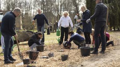 Attēls rakstam: Foto: "Roku rokā Latvijai!" Ķekavas novada pašvaldības darbinieki talko Mercendarbes muižas parkā