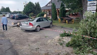 Attēls rakstam: FOTO/VIDEO: Saulaina pēcpusdiena Raganā: auto novietošana zem koka beidzas ar nepatīkamu pārsteigumu