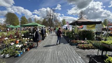Attēls rakstam: Jau drīzumā Siguldā notiks lielākais stādu tirgus Baltijā - “Latvijas Stādu parāde 2026”