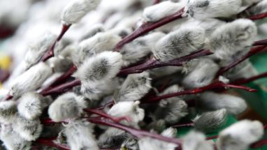 Attēls rakstam: Kristīgajā pasaulē atzīmē Lielo piektdienu