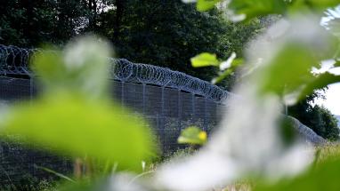 Attēls rakstam: Latvijā atrasts vēl viens migrantu tunelis - ieeja nomaskēta ar sūnām