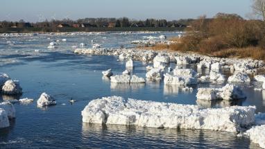 Attēls rakstam: Latvijā noslēdzas palu sezona. Kādi ir secinājumi?