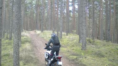 Attēls rakstam: Motobraucēji ārdās Ropažu novada mežos! Policija sākusi rīkoties