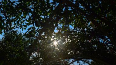 Attēls rakstam: Nedēļas nogalē laikapstākļi lutinās ar sauli