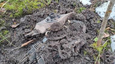 Attēls rakstam: No Krievijas ielidojušais drons Krāslavas novadā eksplodējis kilometra attālumā no Svariņu pagasta centra (+foto)