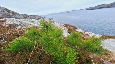 Attēls rakstam: Pirmslieldienu laika vispiemērotākie jautājumi: Dievs, vai Tu mani dzirdi  un uzklausi?