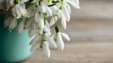 Attēls rakstam: Sestdien laikapstākļi var sagādāt nepatīkamus pārsteigumus