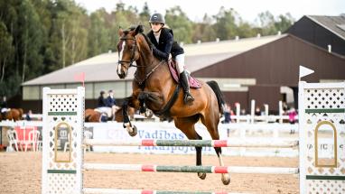 Attēls rakstam: To ir jāredz! Inčukalnā notiks starptautiskas sacensības jāšanas sportā