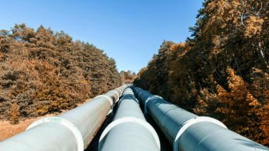 Attēls rakstam: Vai kūtsmēsli aizstās dīzeļdegvielu? Zaļajā kursā meklē jēdzīgas alternatīvas