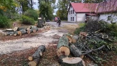 Attēls rakstam: VIDEO: Zāģēja bīstamus kokus, bet saņēma izsaukumu: Krimuldas ugunsdzēsēji atgādina par dūmvadu tīrīšanu