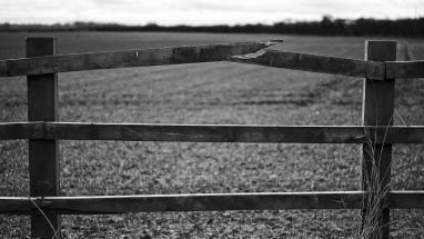 Attēls rakstam: Voldemārs Lauciņš: Pirmslieldienu laikam vispiemērotākie jautājumi