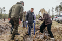 Foto: Allažu pagastā radies hektārs jauna meža