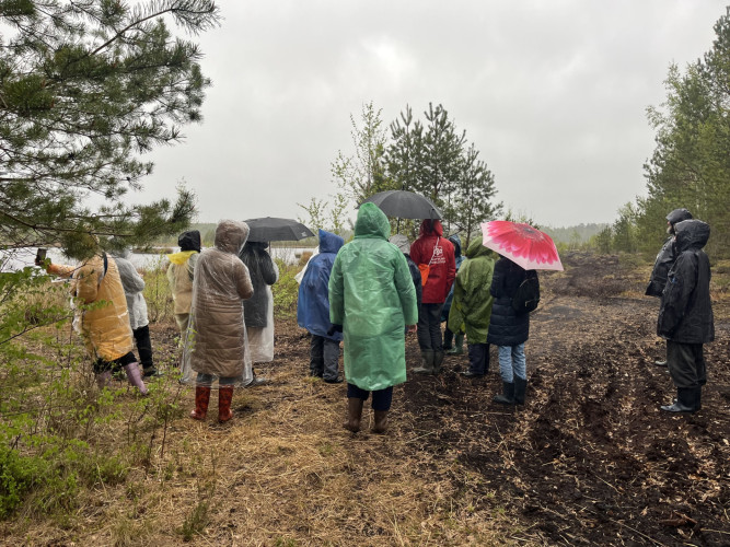 FOTO: Zeltiņu purva zelts: pārgājienā Salaspilī iepazīst dabas dārgumus