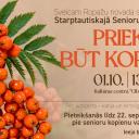Attēls rakstam: 1.X Svētku koncerts senioriem "Prieks būt kopā" Ulbrokā