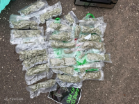 Video: Pierīgas mežā ar narkotikām aizturēts jaunietis; policija atsavinājusi deviņus kilogramus marihuānas