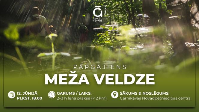 Attēls rakstam: 12.VI Pārgājiens "Meža veldze" Carnikavā