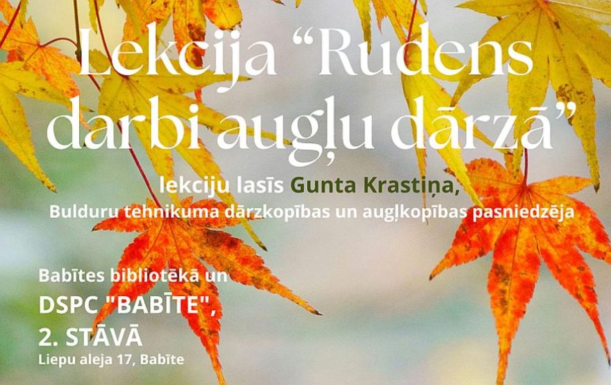 14.X Lekcija "Rudens darbi augļu dārzā" Babītē