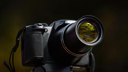 Attēls rakstam: 16.III-20.IV Andreja Panosjana fotogrāfiju izstāde "No meža līdz pagalmam: Ropažu novada putni" Upesciemā