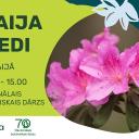 Attēls rakstam: 16.V Pasākums "Maija ziedi" Salaspilī