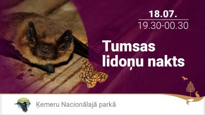 Attēls rakstam: 18.VII Tumsas lidoņu nakts Ķemeros