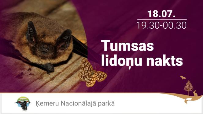 Attēls rakstam: 18.VII Tumsas lidoņu nakts Ķemeros