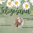 Attēls rakstam: 19.-20.VI Ielīgošana Garkalnes pagastā