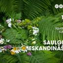 Attēls rakstam: 19.VI Saulgriežu ieskandināšana Siguldā