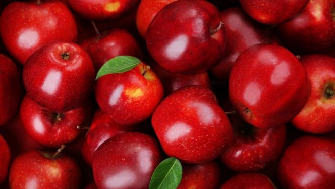 Attēls rakstam: 20.IX Mālpils rudens gadatirgus
