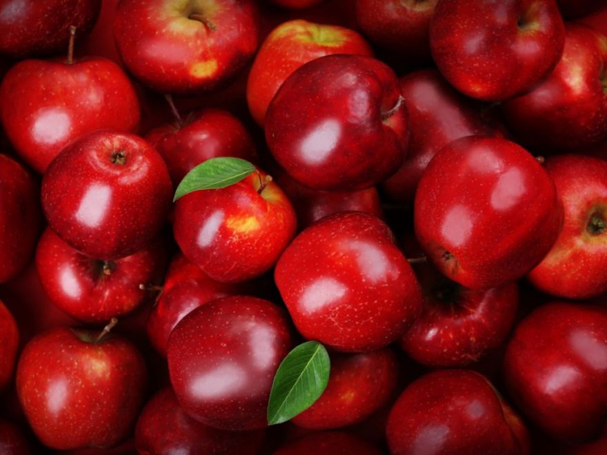20.IX Mālpils rudens gadatirgus