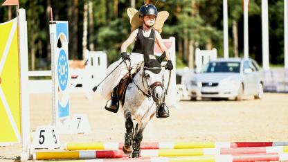 Attēls rakstam: 29.-30.VIII Vislatvijas Zirgu dienas Inčukalnā