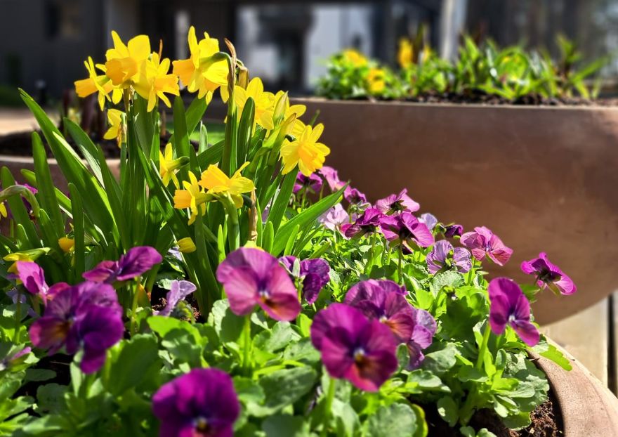 3.IV Sezonas atklāšana un meistarklase stādu audzētavā Siguldas pagastā