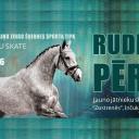 Attēls rakstam: 3.X Jaunzirgu skate "Rudens pērle" Inčukalnā