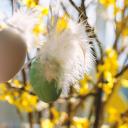 Attēls rakstam: 4.-5.IV Tirdziņš un Lieldienu aktivitātes Ādažos un Carnikavā