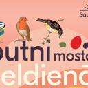 Attēls rakstam: 5.-6.IV Putnu modināšana un Lieldienu svinības Saulkrastos un Lojā