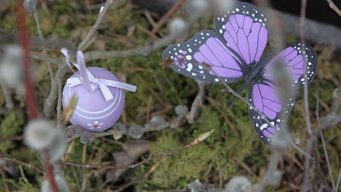 Attēls rakstam: 5.IV Lieldienas Ādažos un Carnikavā