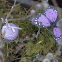 Attēls rakstam: 5.IV Lieldienas Ādažos un Carnikavā