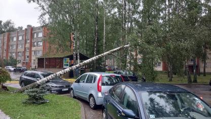 Attēls rakstam: 50 000 eiro ir tikai sākums: cik patiesībā Ķekavas novadam izmaksājusi postošā vētra?
