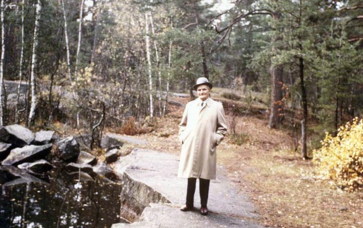 Jautājuma attēls