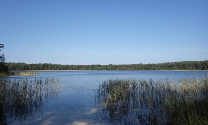 Jautājuma attēls