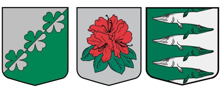 Jautājuma attēls