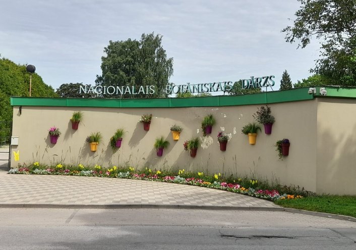 Jautājuma attēls