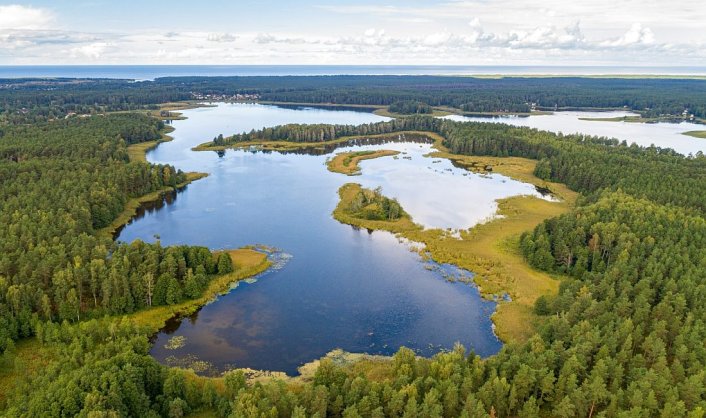 Jautājuma attēls