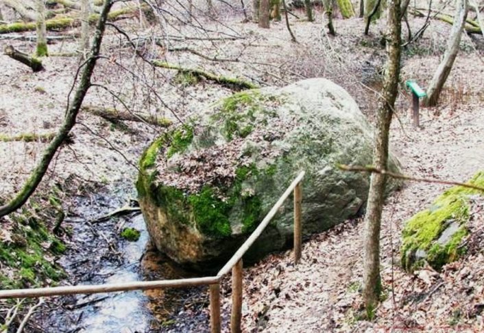 Jautājuma attēls
