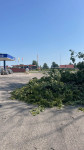 FOTO/VIDEO: Saulaina pēcpusdiena Raganā: auto novietošana zem koka beidzas ar nepatīkamu pārsteigumu