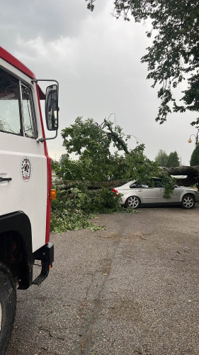 FOTO/VIDEO: Saulaina pēcpusdiena Raganā: auto novietošana zem koka beidzas ar nepatīkamu pārsteigumu