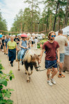 FOTO: Pārpildīts Meža parks un pūļi pie skatuves: - spilgtākie momenti no Saulkrastu svētkiem
