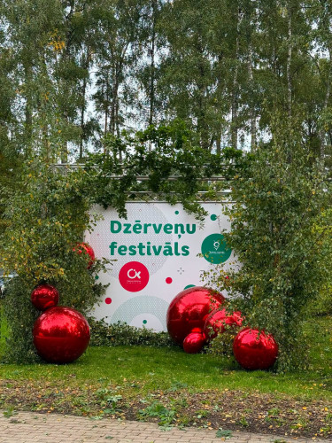 FOTO: Purva ogai par godu – Olainē nosvinēts Dzērveņu festivāls