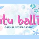 Attēls rakstam: 8.VIII Ceļojošā putu ballīte Garkalnes pagastā